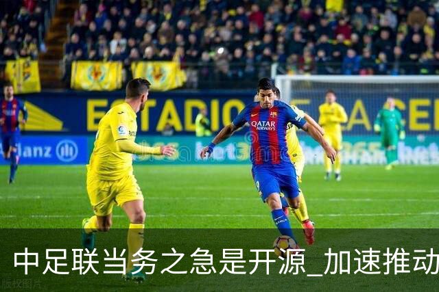 中足联当务之急是开源 加速推动中国足球职业化